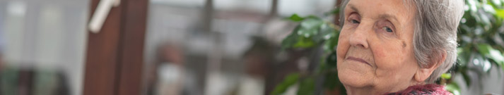 S12-banner